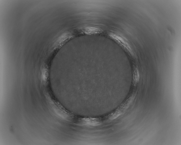 X0000111680367200907311224