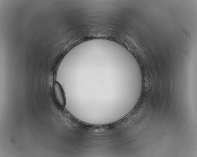 X0000111680368200907311224