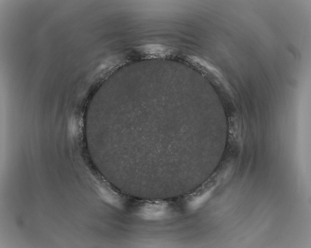 X0000111680369200907311224