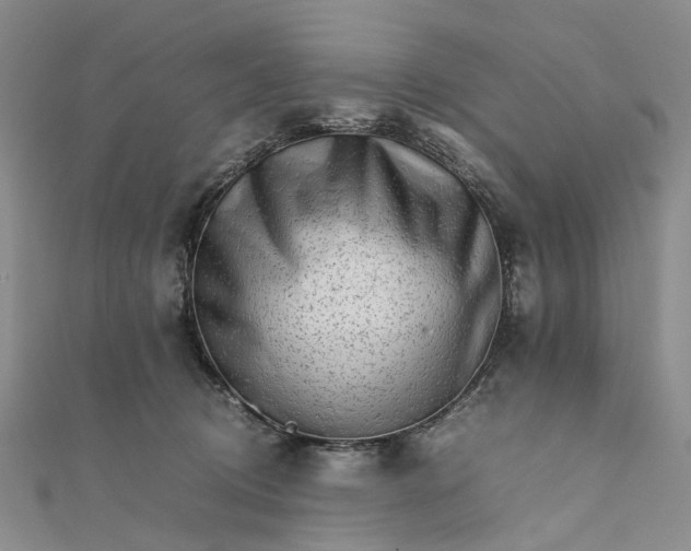 X0000111680370200907311224