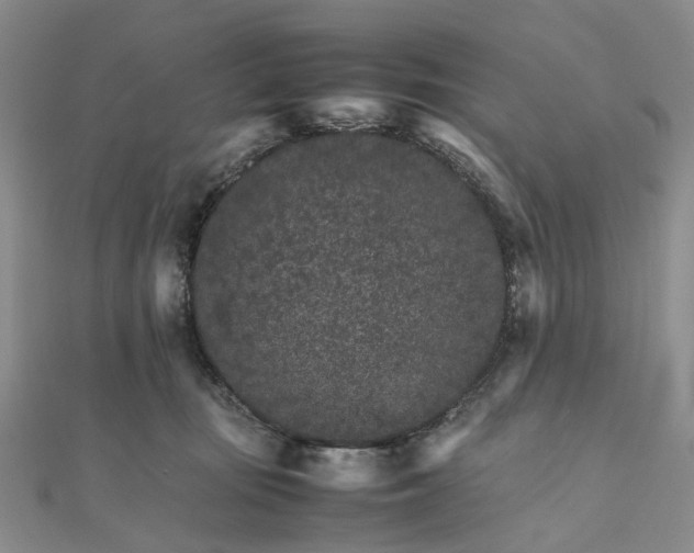 X0000111680371200907311224