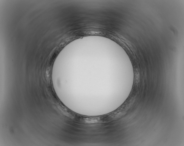 X0000111680373200907311225