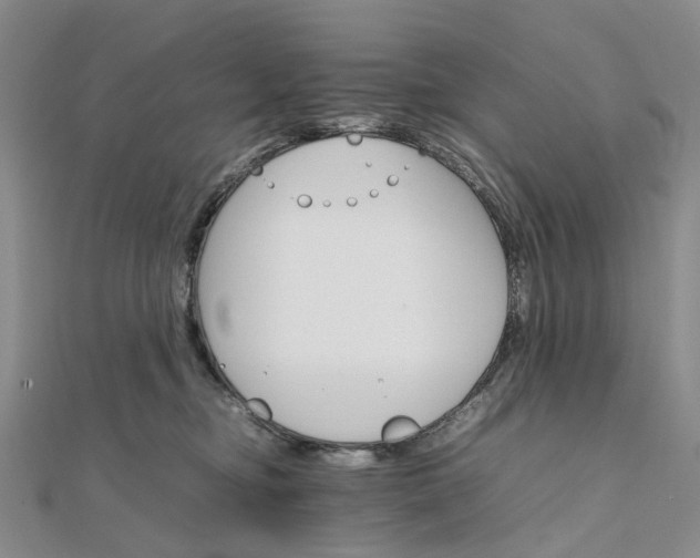 X0000111680374200907311225