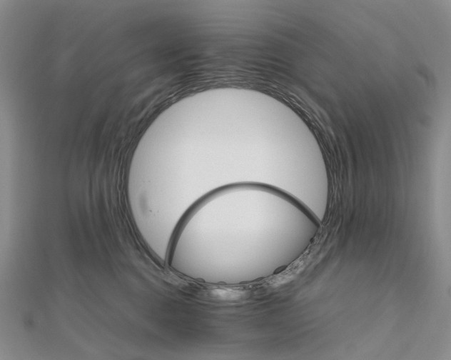 X0000111680376200907311225