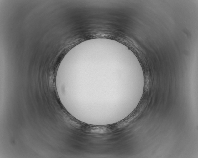 X0000111680377200907311225