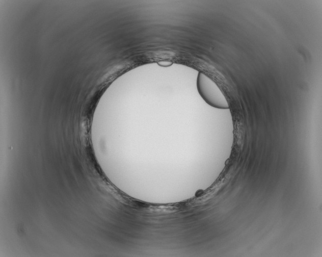 X0000111680378200907311225