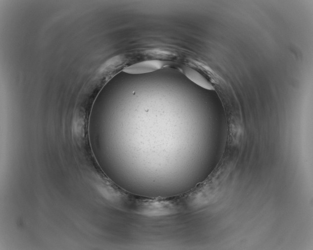 X0000111680379200907311225