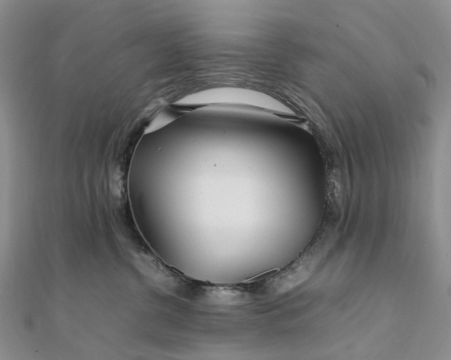 X0000111680380200907311225