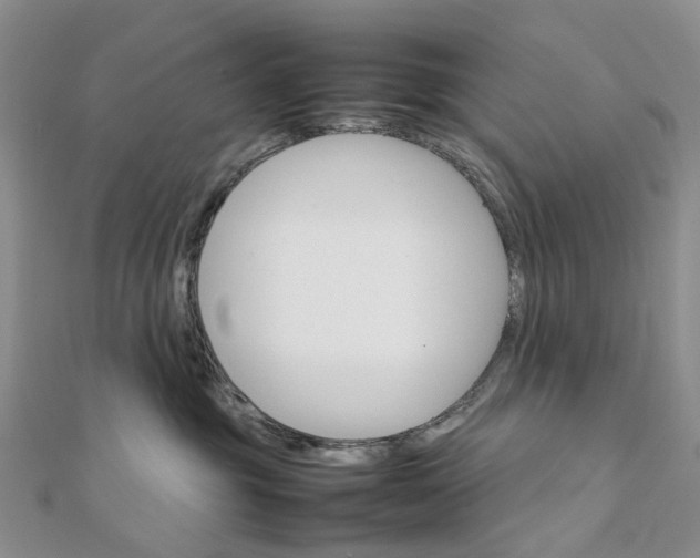 X0000111680381200907311225