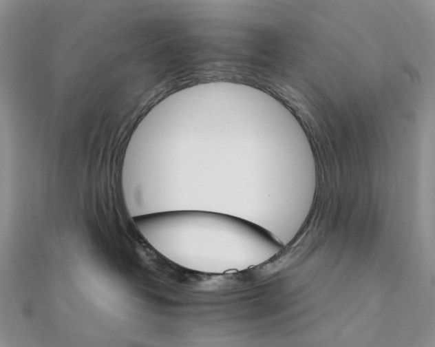 X0000111680382200907311225