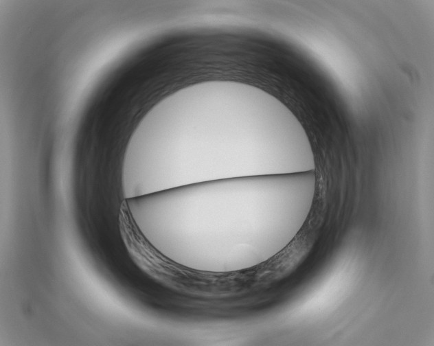 X0000111680383200907311225