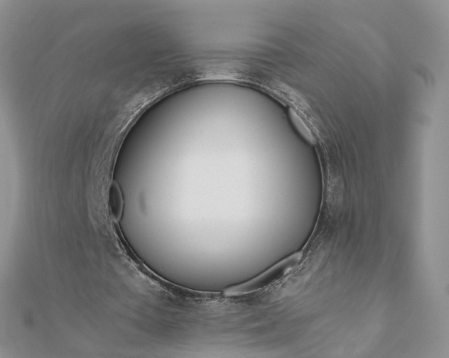 X0000111680385200907311224