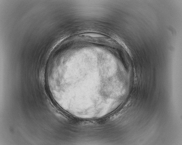 X0000111680386200907311224