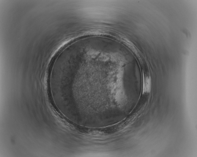 X0000111680387200907311224