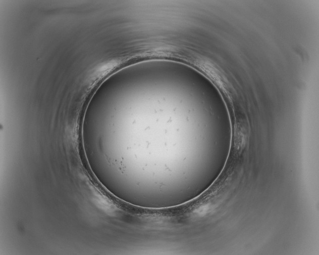 X0000111680389200907311224