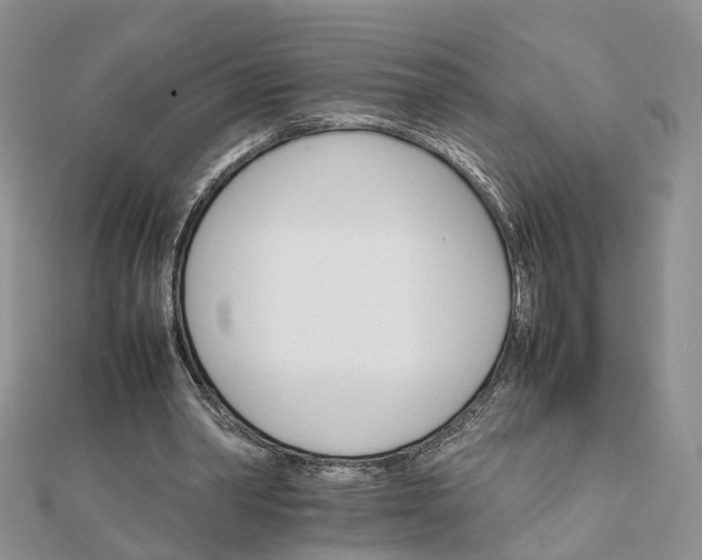 X0000111680390200907311224