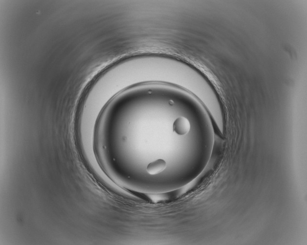 X0000111680391200907311224