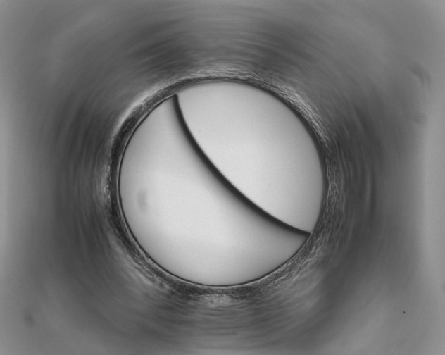 X0000111680392200907311224