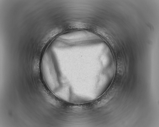 X0000111680394200907311224