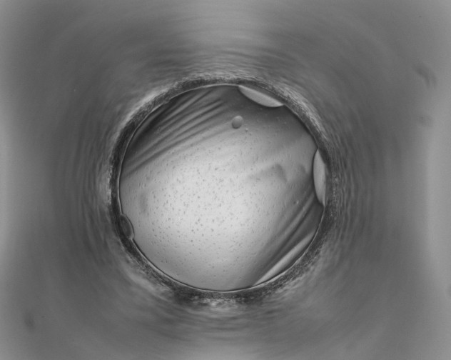 X0000111680395200907311224