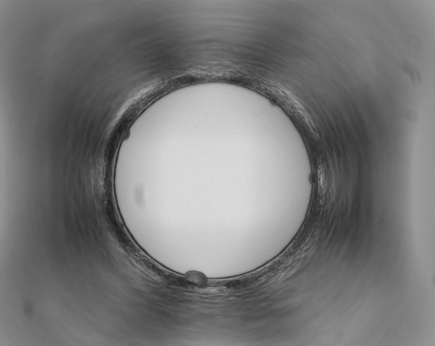 X0000111680396200907311224