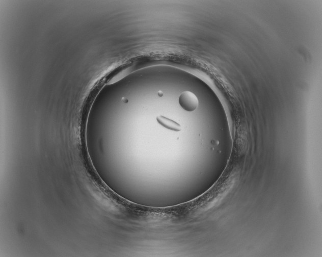 X0000111680399200907311224