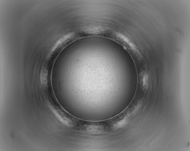 X0000111680400200907311224