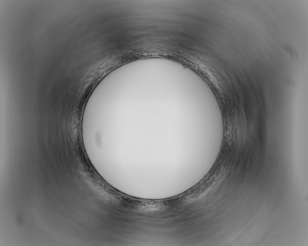 X0000111680402200907311224