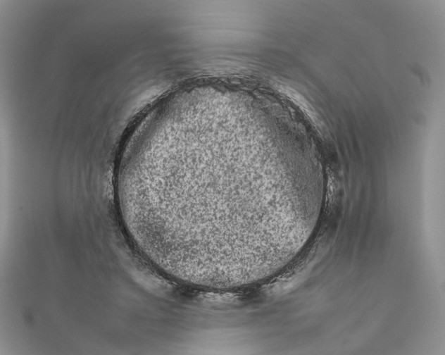 X0000111680403200907311224