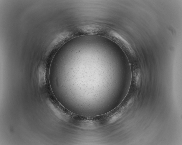 X0000111680404200907311224