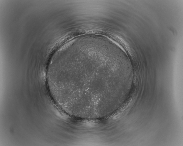 X0000111680405200907311224