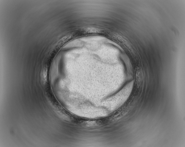 X0000111680406200907311224