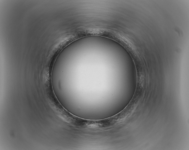 X0000111680407200907311224