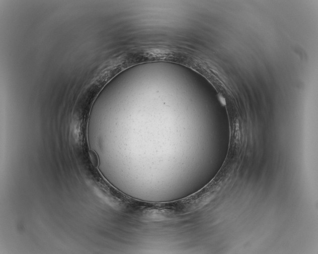 X0000111680408200907311224