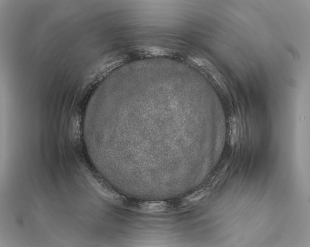 X0000111680410200907311224