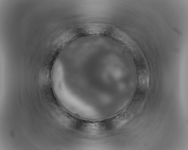 X0000111680411200907311224