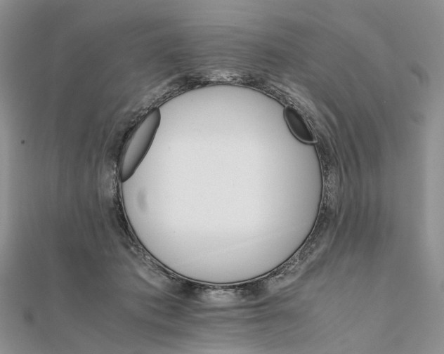 X0000111680413200907311224