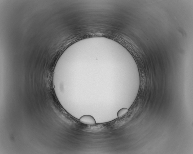 X0000111680414200907311224