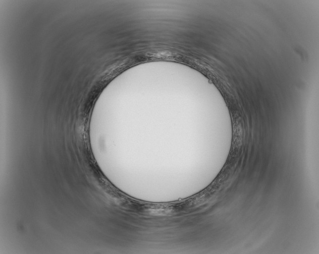 X0000111680415200907311224