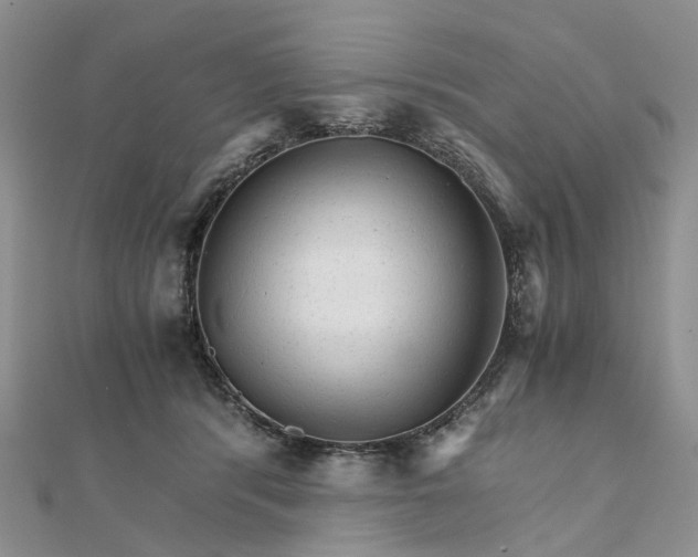 X0000111680416200907311224