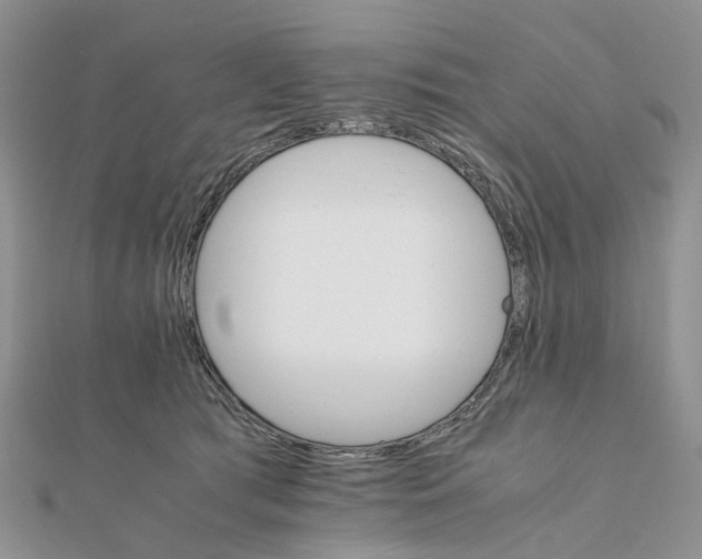 X0000111680417200907311224