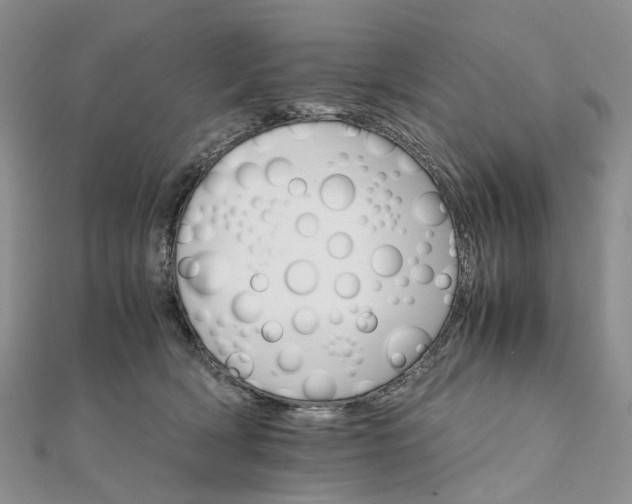 X0000111680418200907311224