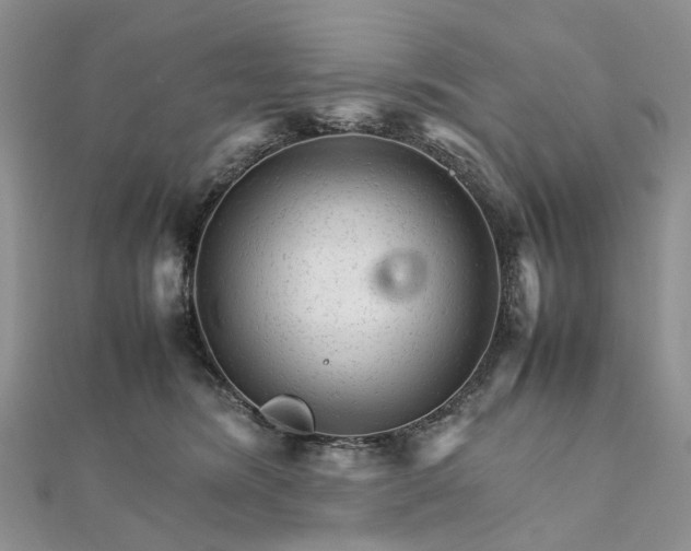 X0000111680420200907311224