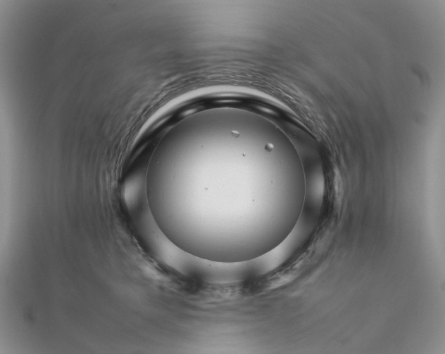 X0000111680421200907311224