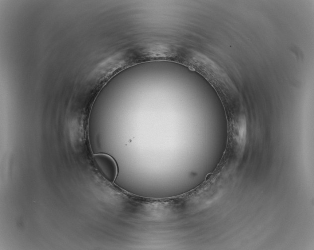 X0000111680422200907311224