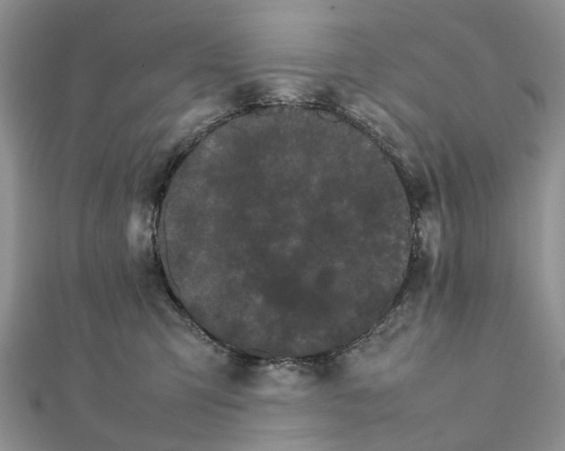 X0000111680423200907311224