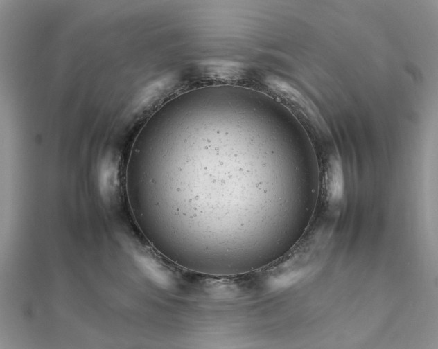 X0000111680424200907311224