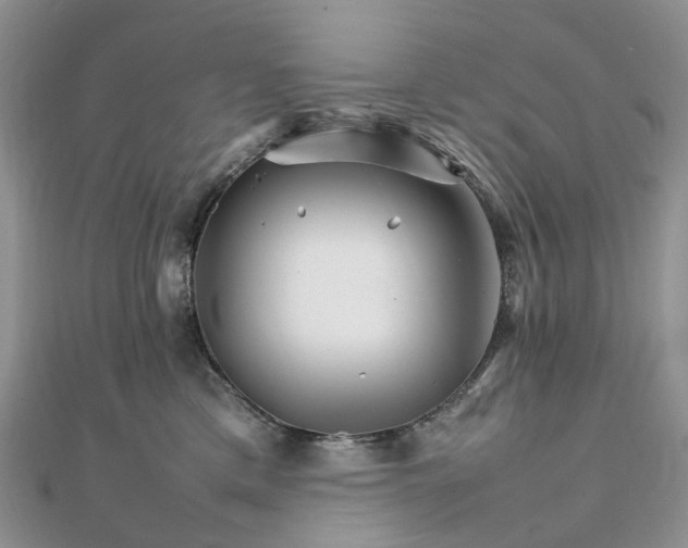 X0000111680425200907311224