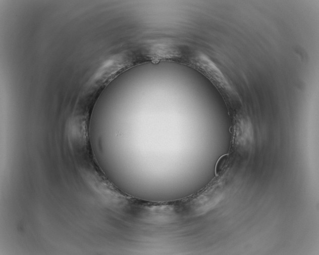 X0000111680426200907311224