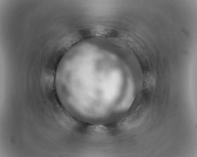 X0000111680427200907311223